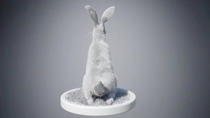 do cgi 3d vfx animal animation, 3d model, fur, animal rigging, 3d integration