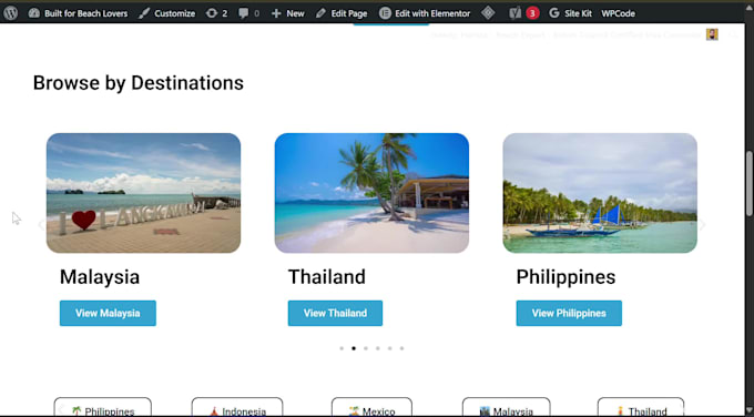 build wordpress website using elementor for blog and ecommerce