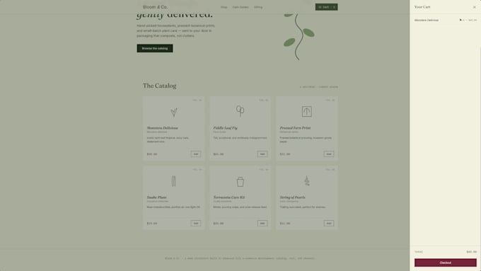develop a full custom website with payments, hosting