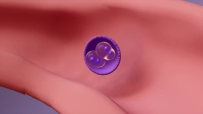 create ai powered 3d medical animation and anatomy explainer videos
