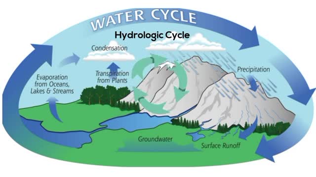 help you with sedimentology stratigraphy and petrology task