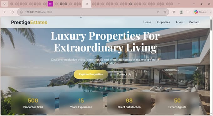 build a professional website
