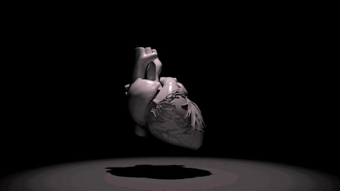 create a realistic 3d model