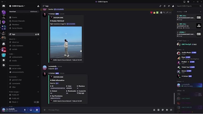 develop a custom discord bot for your server