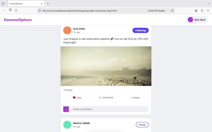 build selenium and playwright web automation or custom bots