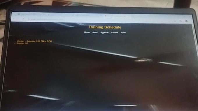 develop a professional python flask website and automate your data
