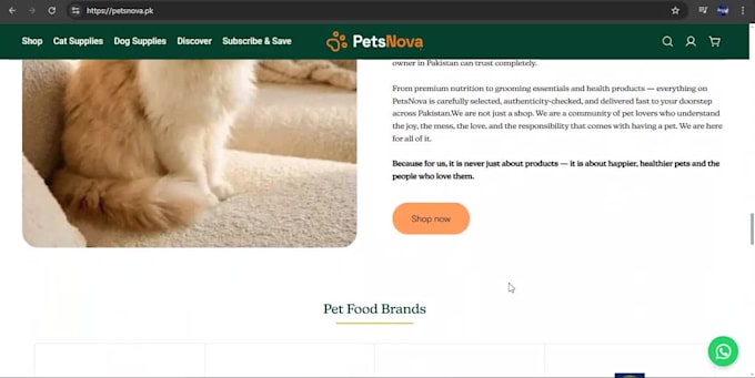 design a modern shopify pet store website or ecommerce store