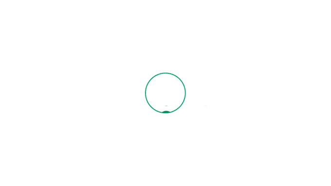 create a custom dynamic logo animation