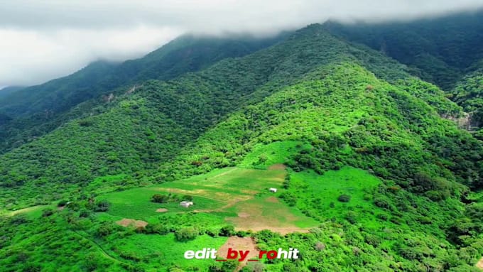 professionally edit reels and short videos