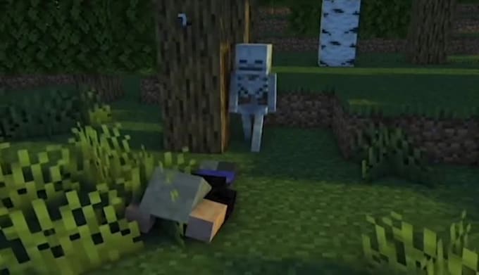 make minecraft animations for you