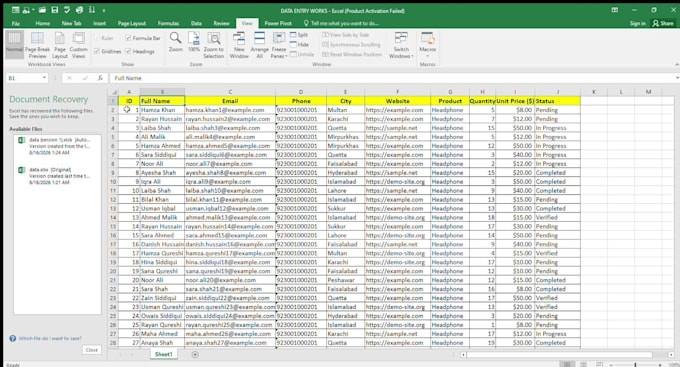 do fast excel data entry , copy past and wed research