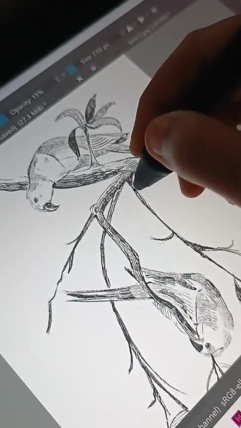 do birds sketch with unique realistic sketching style