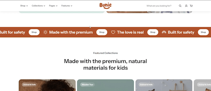 professional shopify store design