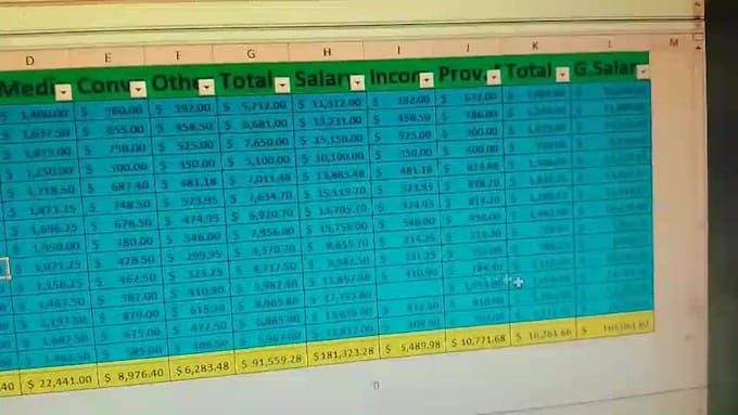 do accurate PDF to excel data entry and dashboard