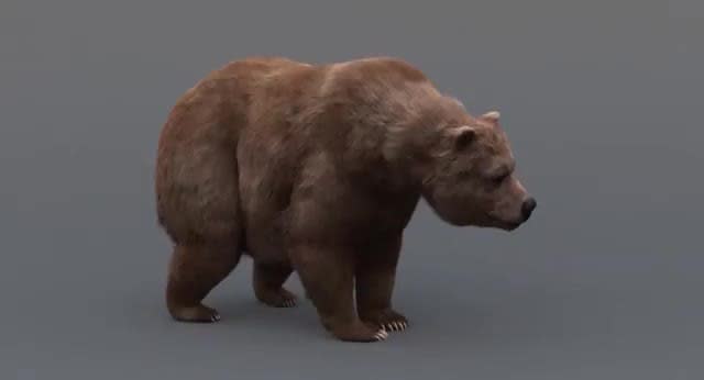 create realistic 3d animal animation, 3d creature design, character rigging