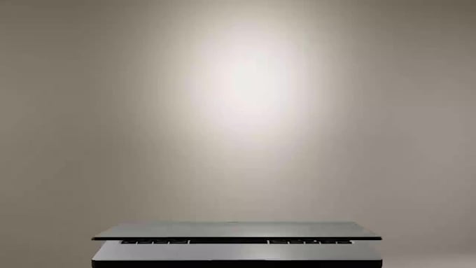 build a professional wordpress website or landing page
