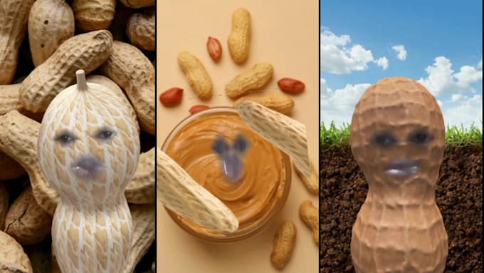 do 3d ar vtuber model, snapchat filter style, burnt peanut for streaming