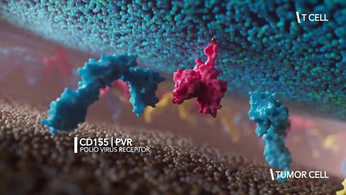 create 3d medical animation immunotherapy moa and pharmaceutical animation