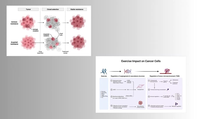 design professional scientific diagrams and illustrations
