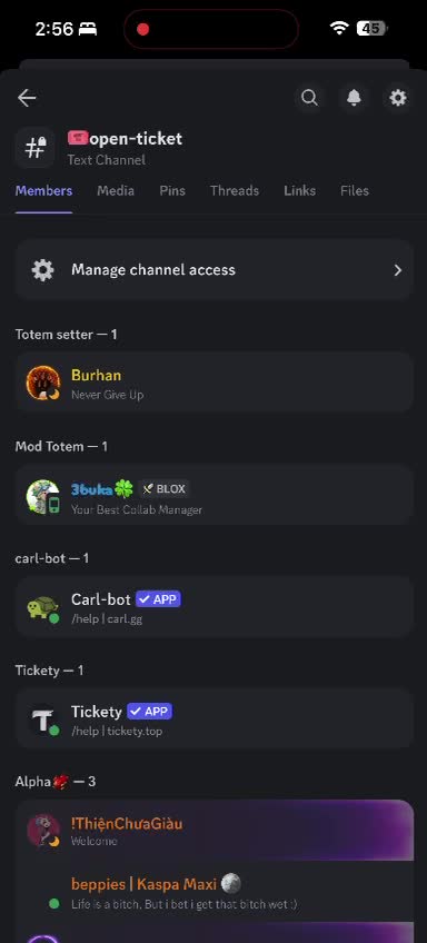 setup your discord server and manage too