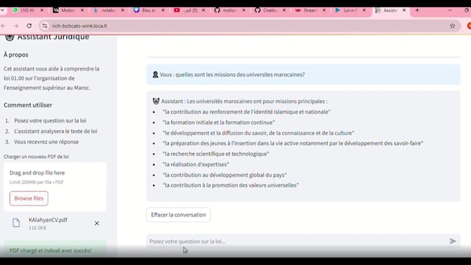 build a custom chatbot or rag app for your PDF, website
