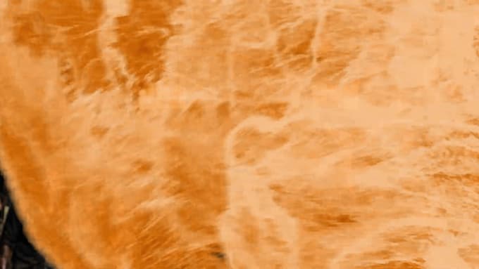 design a professional cinematic motion poster