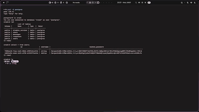 create web app ,rag system , small finetunning
