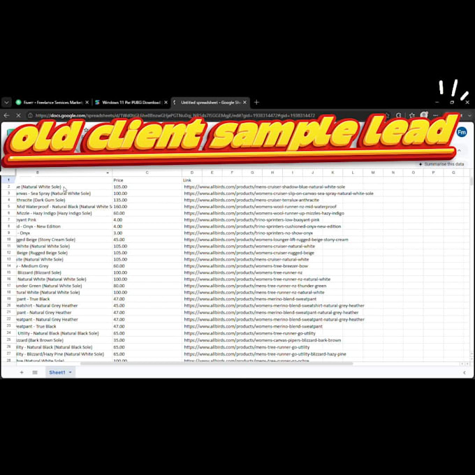 build a custom python web scraping bot for fast data extraction