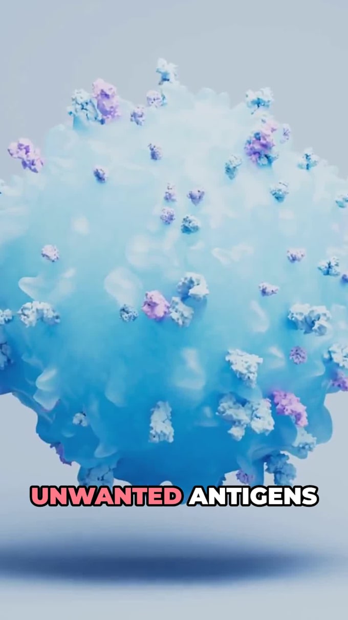 create ai product video ads for ecommerce brands