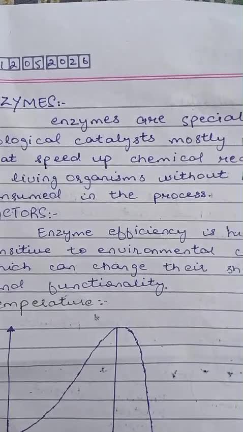 do neat handwritten assignments and notes
