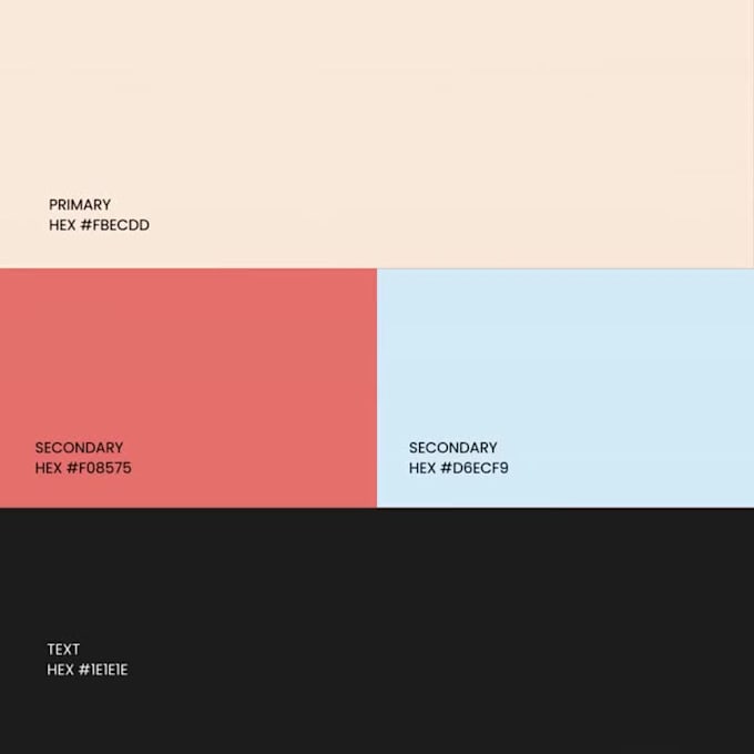 design professional brand color scheme, visual style guide, visual style guide