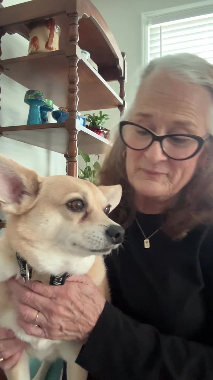 make pet videos for you