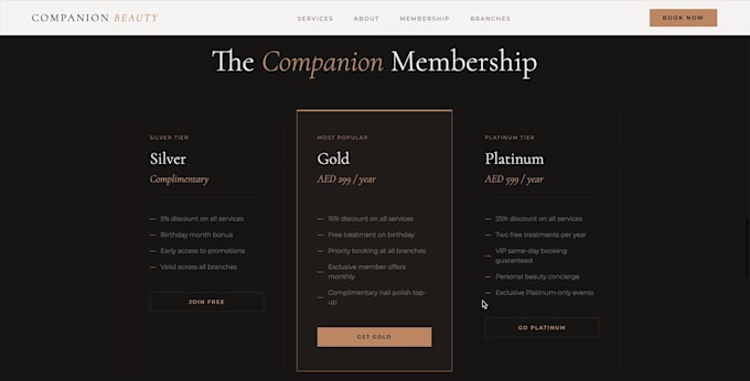 build a website and do monthly maintenance