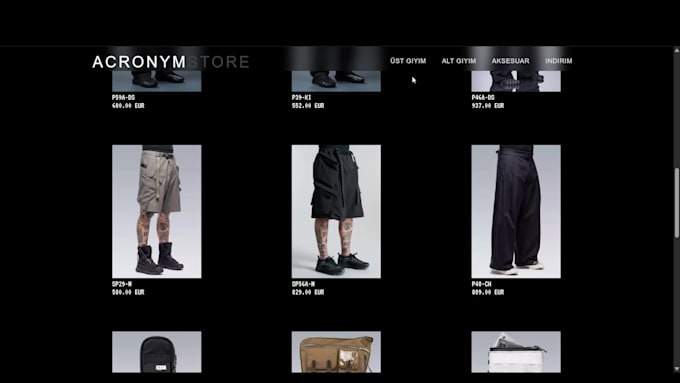 develop a modern and responsive front end website