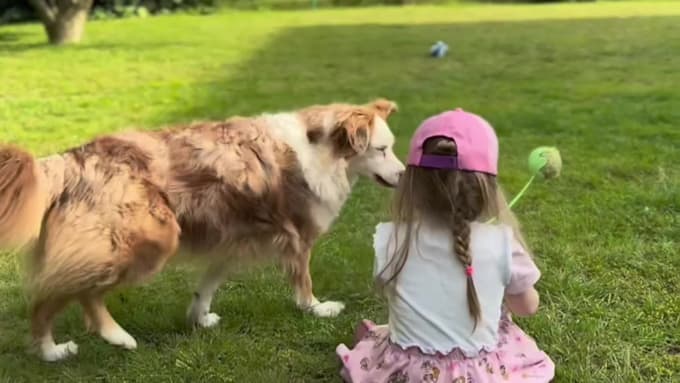 create dog ugc videos for your product or brand