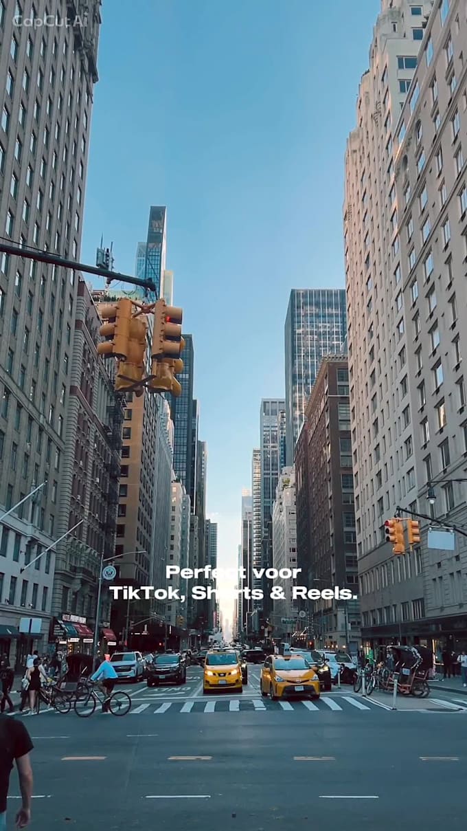 translate and subtitle your video into dutch