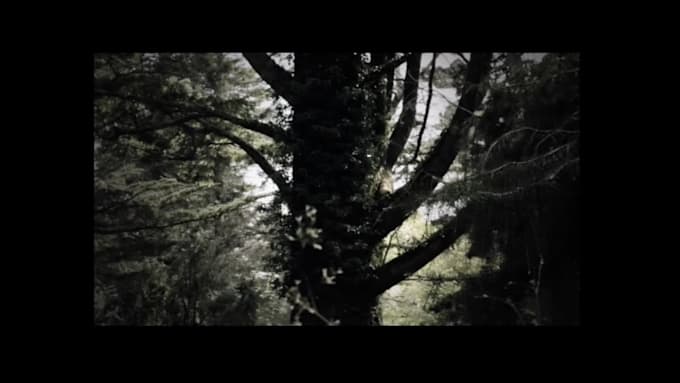 edit viral tiktok reels