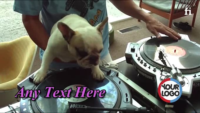 do this funny dj dog playing  video ad