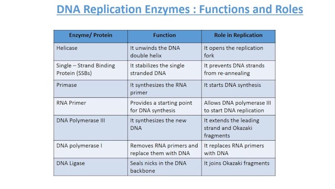 design genetics and molecular biology powerpoint presentation