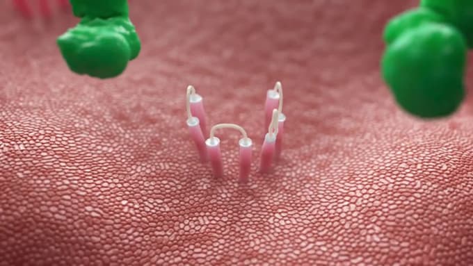 make realistic 3d medical, scientific and virus animation videos