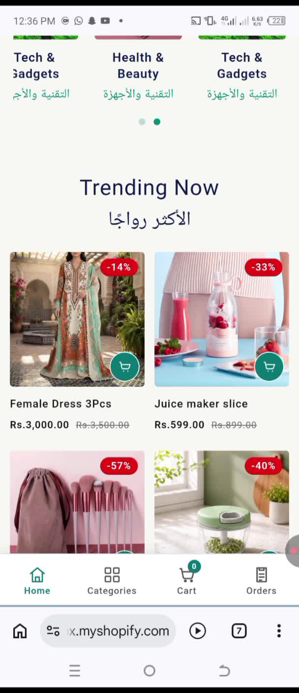 design a professional shopify dropshipping store