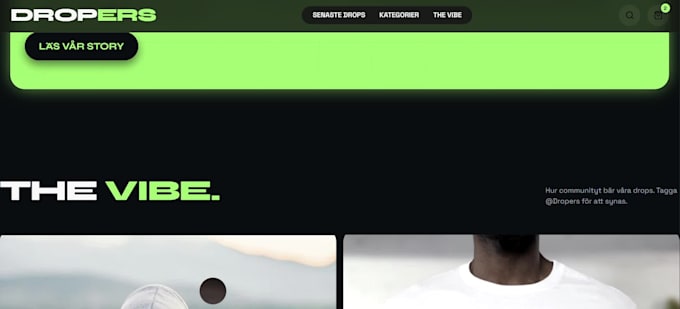 do your web sito clean