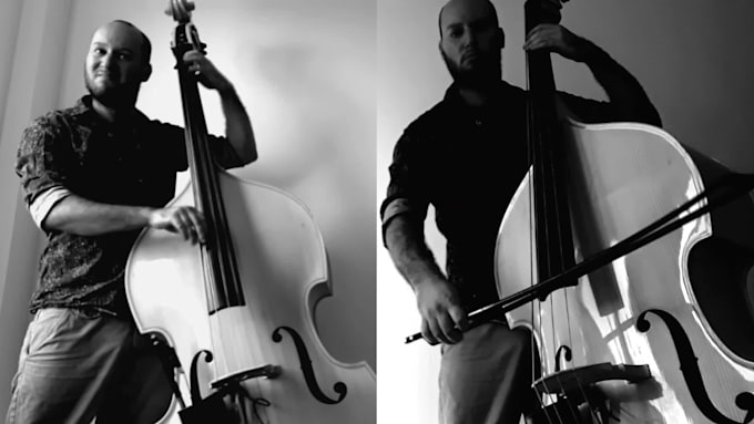 record professional double bass for you