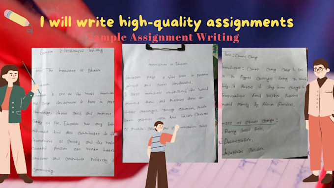 write professional assignments and report