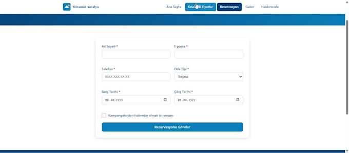 do custom web development and python web application