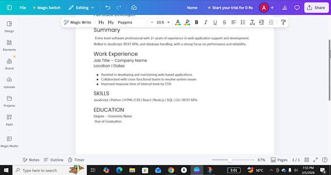 provide editable canva CV template for entry level and professional resumes