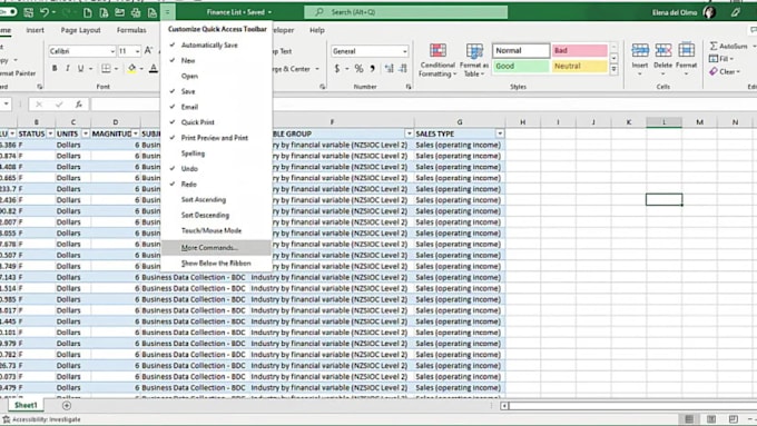 professional data formatting excel word CSV