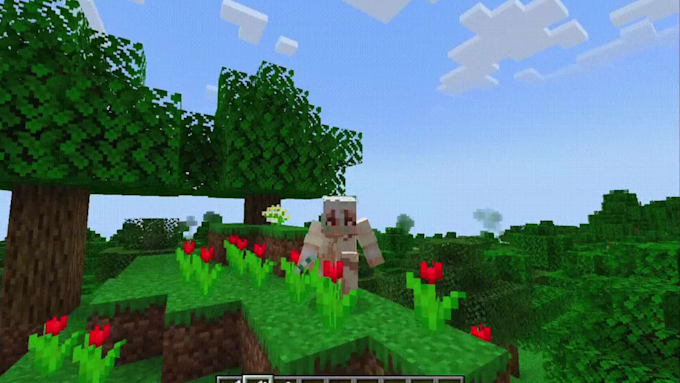create high quality minecraft blockbench 3d models, animations, and texture pack