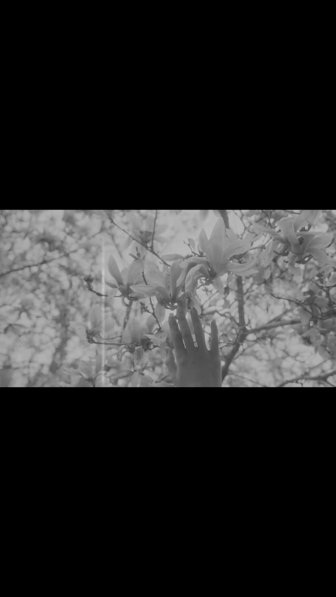 edit cinematic and aesthetic instagram reels