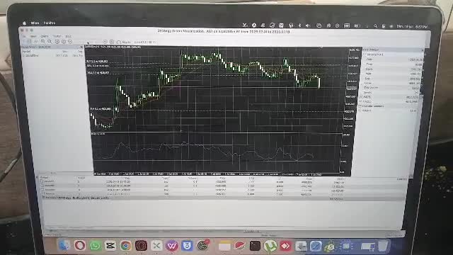 create a custom mt5 trading  bot expert advisor